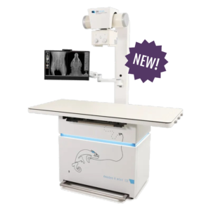 Amadeo-V-mini-III + New